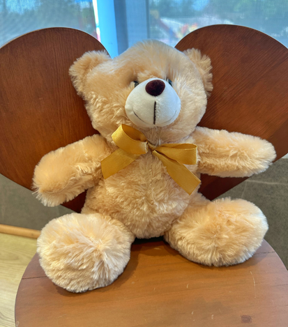 Peluches a domicilio en monterrey - floreria suspiros