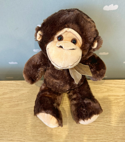 peluches a domicilio en monterrey - floreria suspiros 3