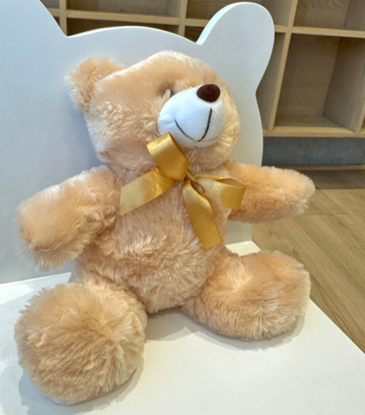 Peluches a domicilio en monterrey - floreria suspiros 3