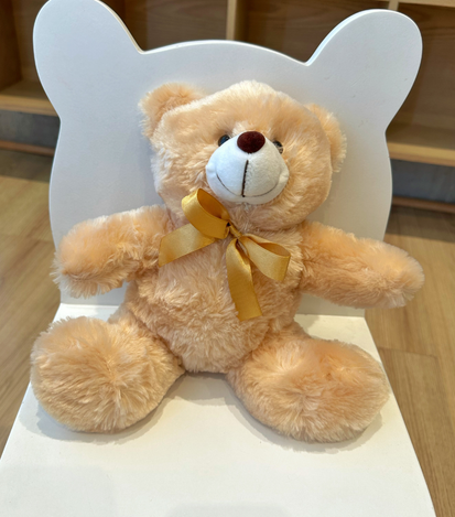 Peluches a domicilio en monterrey - floreria suspiros 4