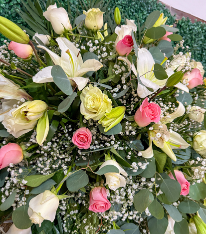 coronas a domicilio 4