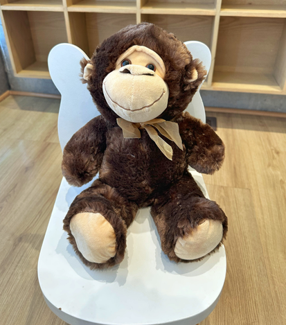 peluches a domicilio en monterrey - floreria suspiros 4