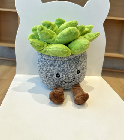 Peluches a domicilio en monterrey - floreria suspiros 3