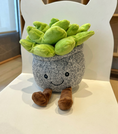 Peluches a domicilio en monterrey - floreria suspiros 4