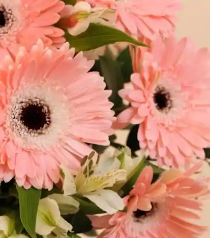 Contáctanos - Arreglo de flores personalizado a domicilio