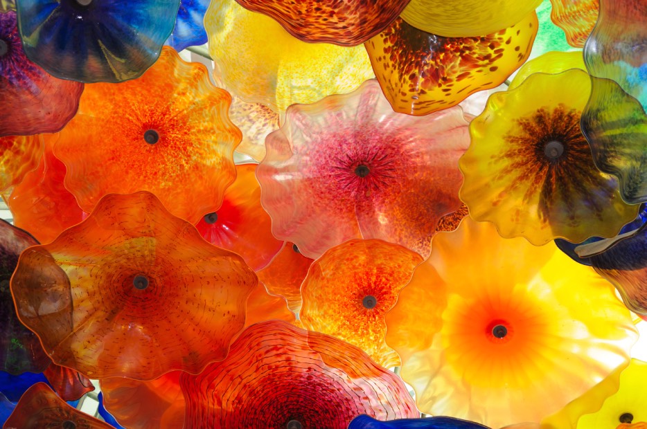 Flores de vidrio creadas por Leopold y Rudolf Blaschka