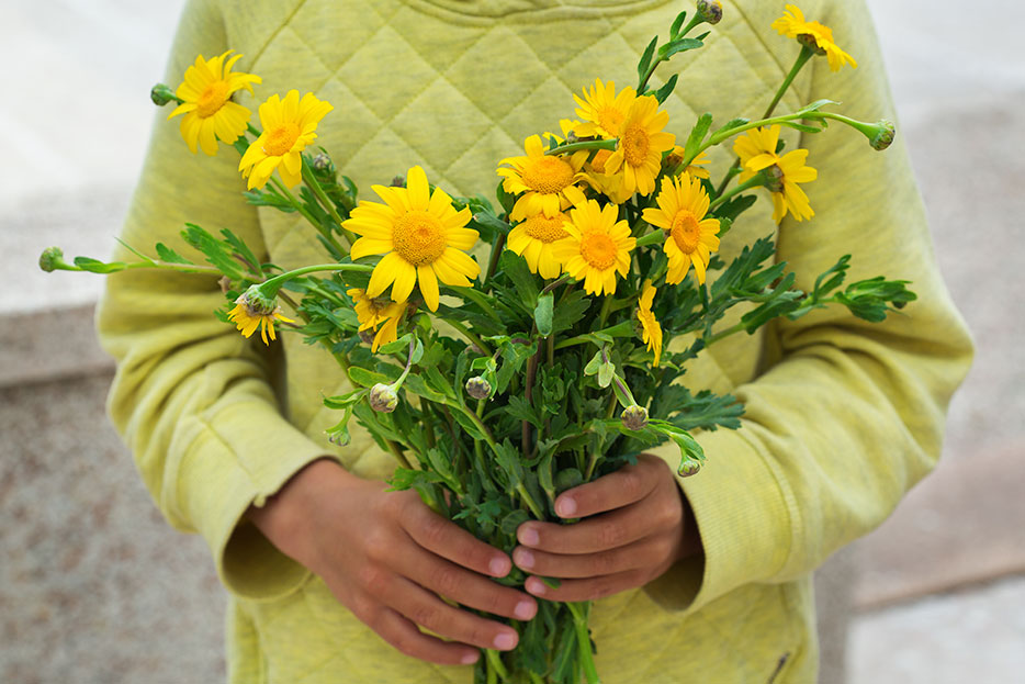 Orquídea Pelícano, flor endémica de México