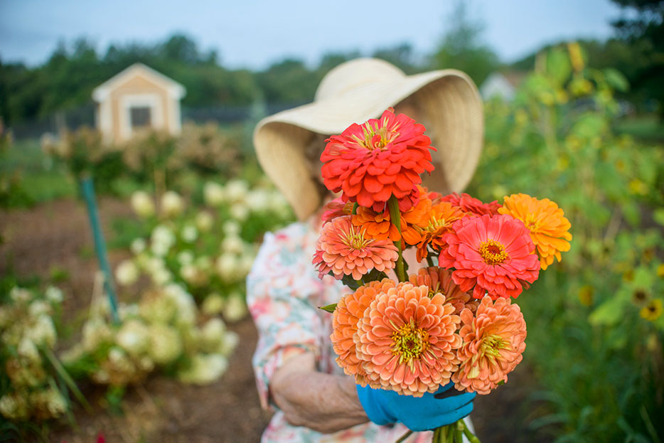 Flores típicas mexicanas