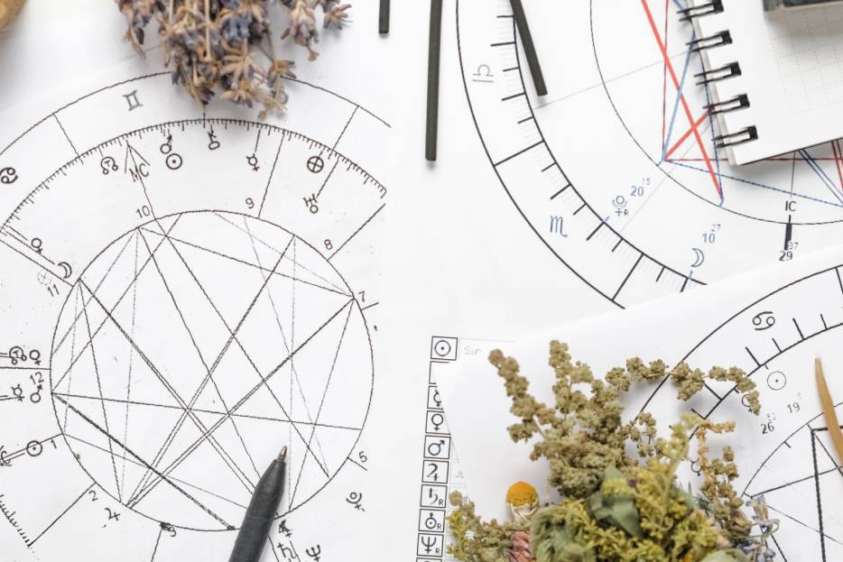 Conexión entre flores y signos del zodiaco