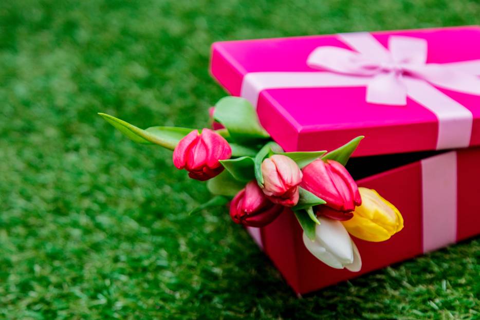 Variedad de flores para diferentes ocasiones