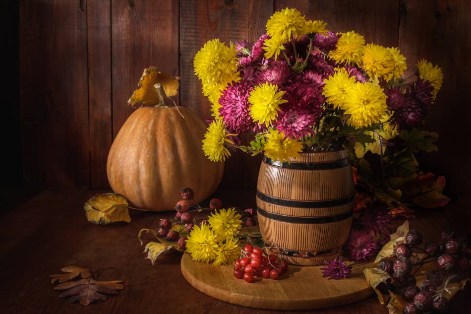Variedad de flores otoñales