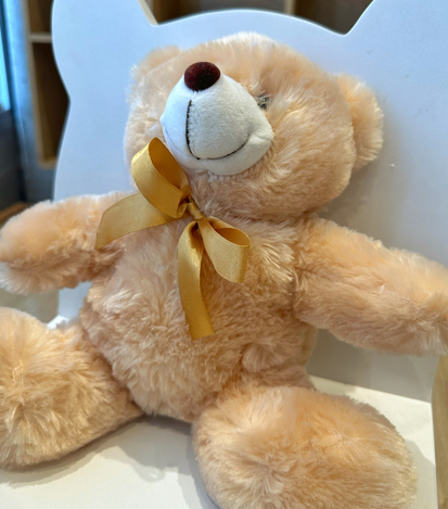 Peluches a domicilio en monterrey - floreria suspiros 2