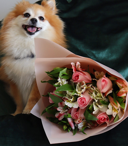 6 Rosas y Alstroemerias. - Flores a Domicilio