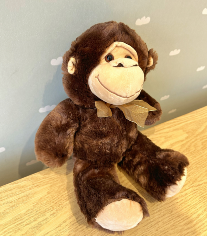 peluches a domicilio en monterrey - floreria suspiros